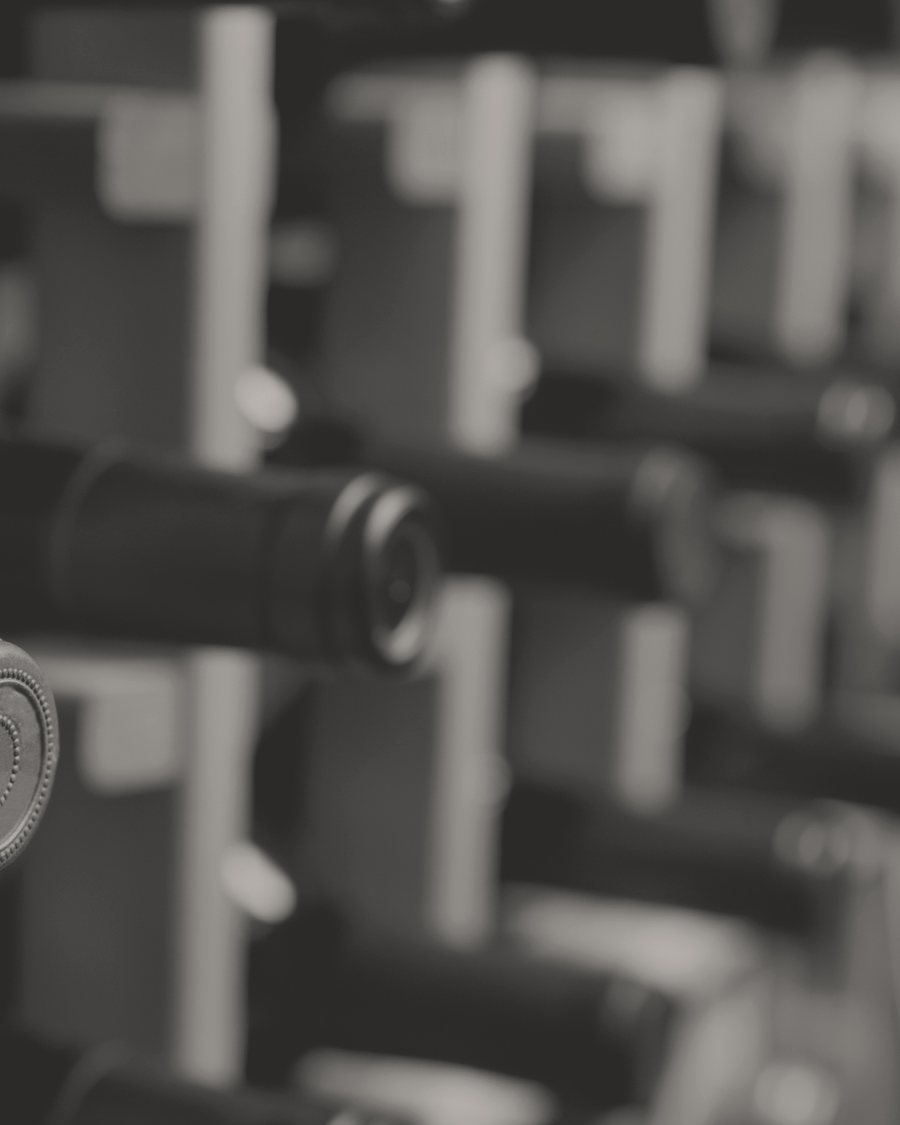 Bottles resting in a cellar rack